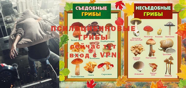 дурь Горняк