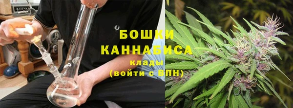 дурь Горняк